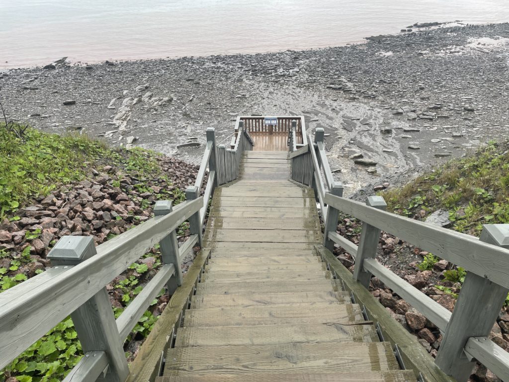 joggins beach fossil cliffs unesco nova scotia