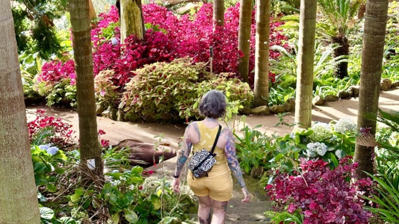 funchal-madeira-portugal-visitportugal-aliciaetattoo-jardimpalace