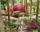 funchal-madeira-portugal-visitportugal-aliciaetattoo-jardimpalace