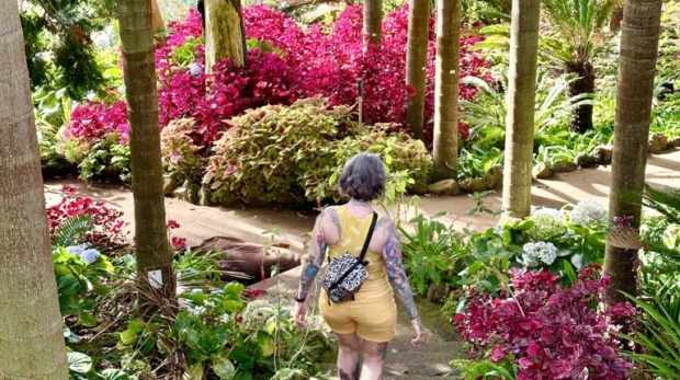 funchal-madeira-portugal-visitportugal-aliciaetattoo-jardimpalace