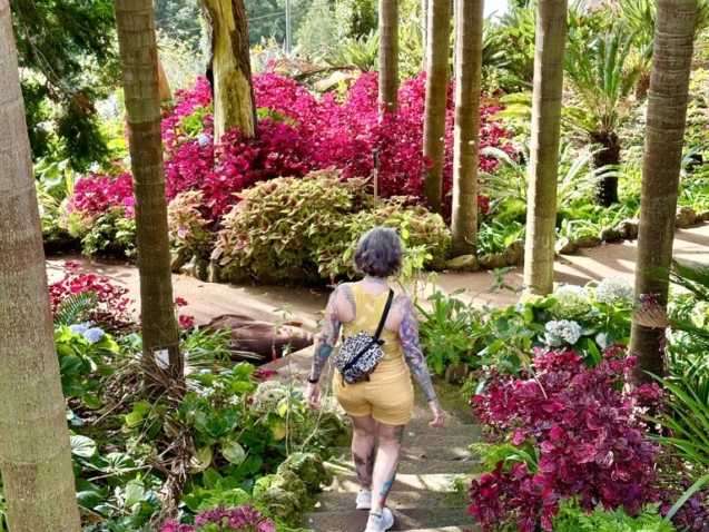 funchal-madeira-portugal-visitportugal-aliciaetattoo-jardimpalace