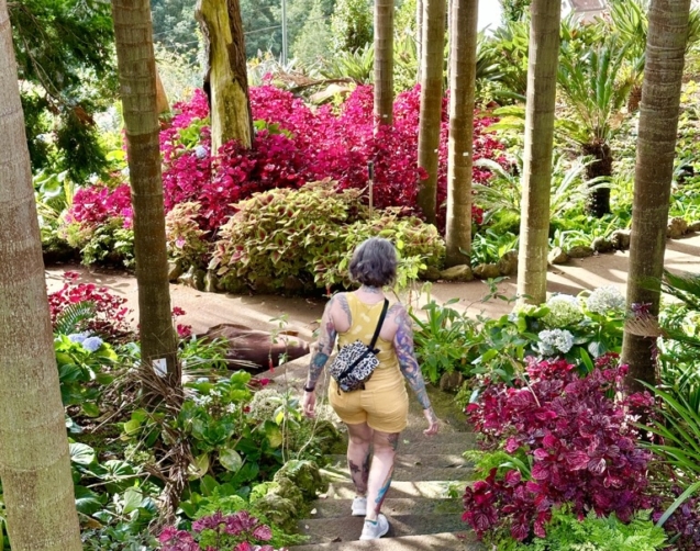funchal-madeira-portugal-visitportugal-aliciaetattoo-jardimpalace